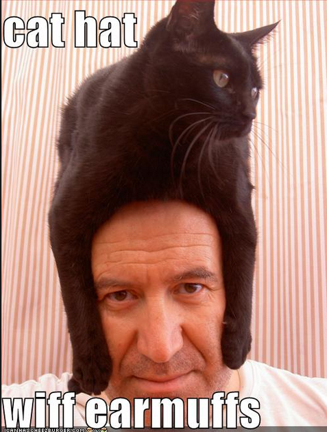 Glenn Stevens traditionally wears a cat on his head to board meetings.