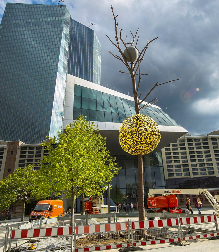 The ECB has planted a magic money tree