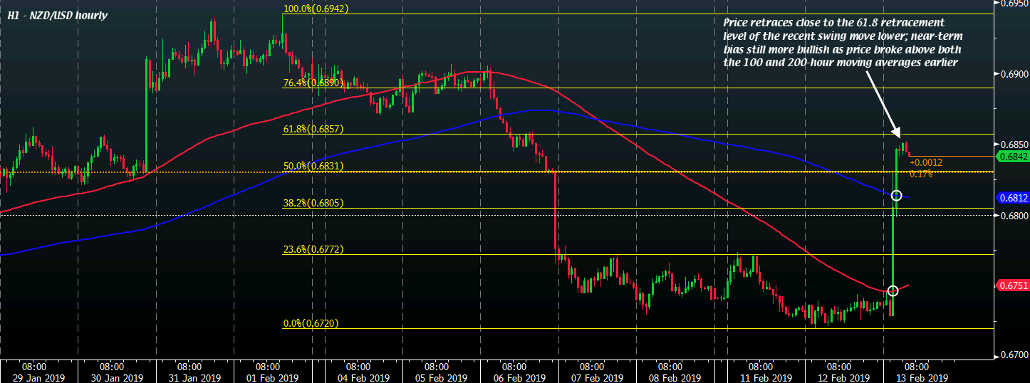 NZD / USD S1 13-02