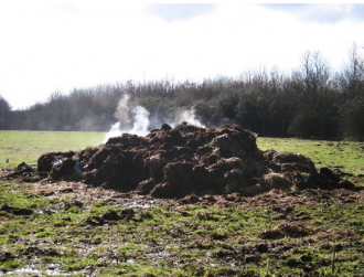 steaming pile