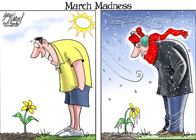 How March Seasonal Patterns Performed - 