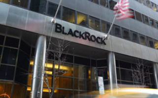 ArticleBody BlackRock is the world's largest asset manager, circa $9 trillion in assets under management (as of June 2021).
