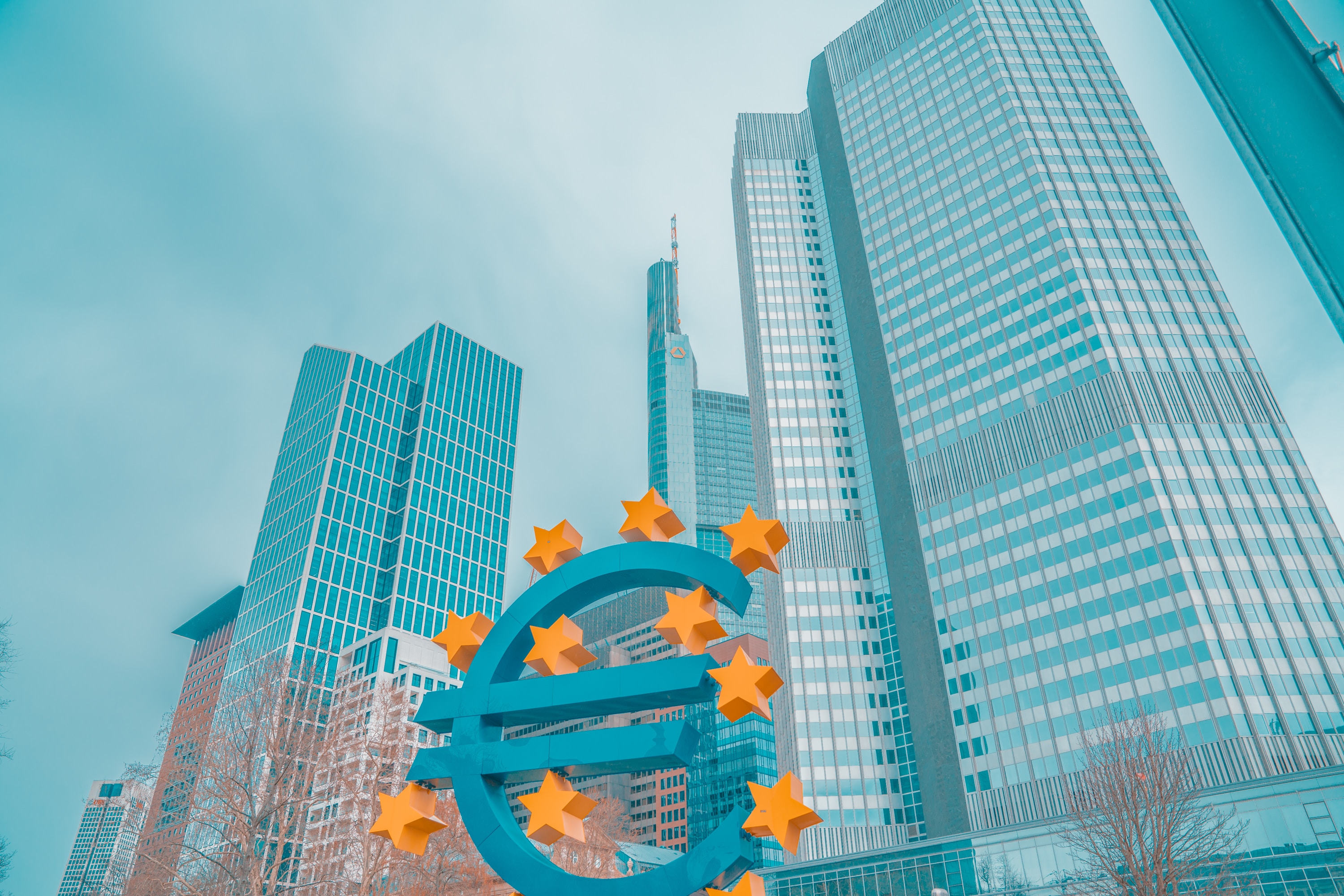 ECB in focus