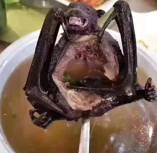Could it have been from bat soup