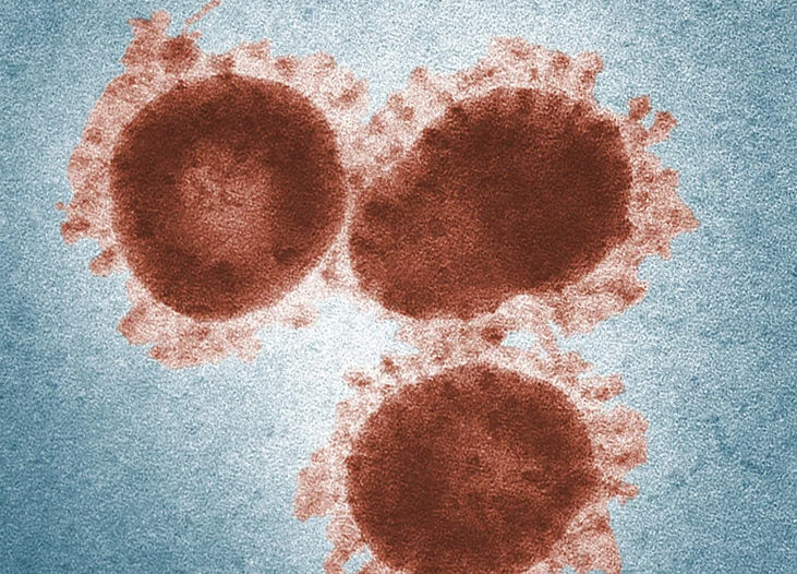 The January 31 coronavirus tally