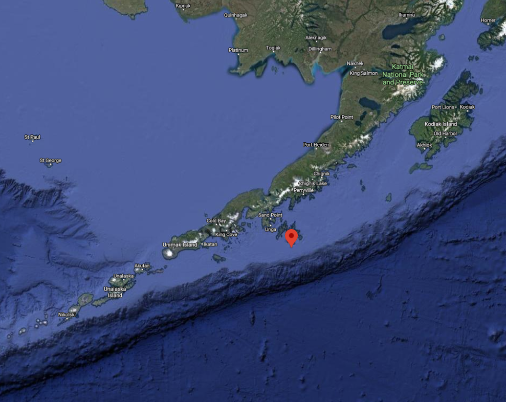 A magnitude 7.5 earthquake hit south of the coast of Alaska earlier, a tsunami alert was issued almost immediately for nearby coastal areas.