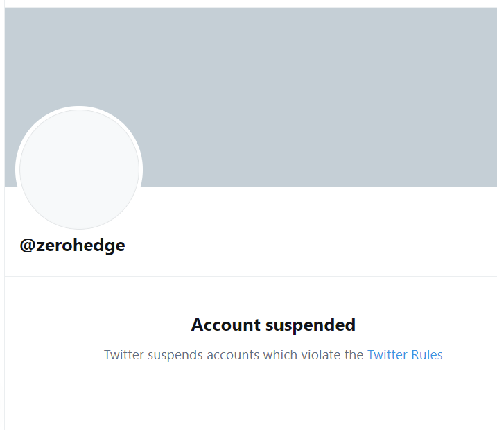 Bring back ZH! What have they done this time to violate Twitter policy? 